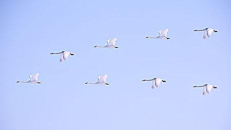 《ATLYSS》Steam抢先体验 3D动作RPG新游